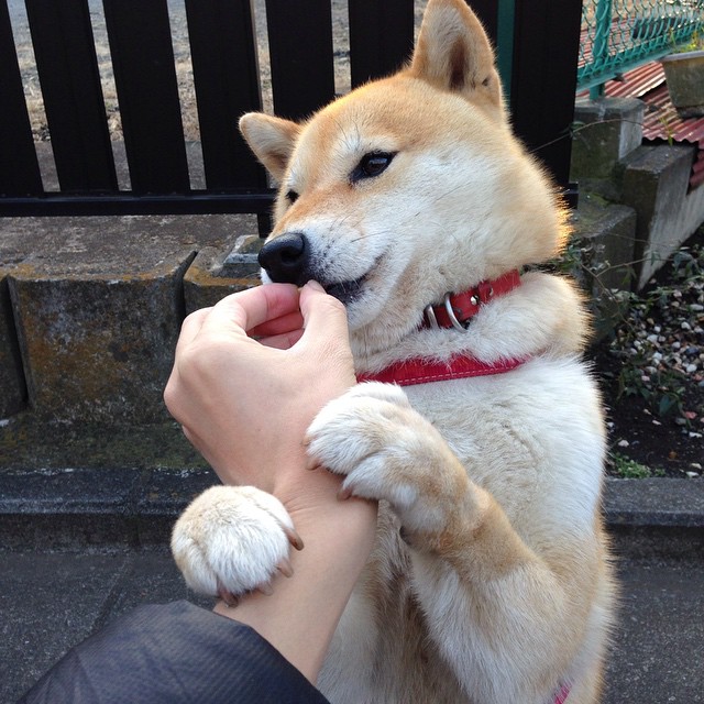 东决关键战，黄喜灿接管比赛，波兰击溃芬兰晋级